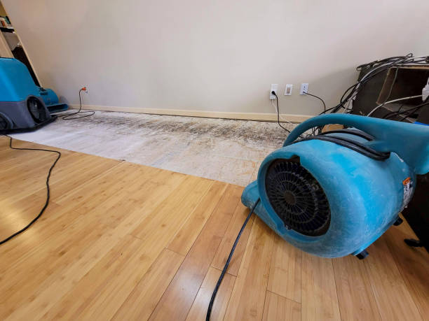 Professional Basement Flood Cleanup technician working in Plum Branch, SC